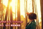 免费的 AVI、MKV 编辑器-SolveigMM AVI Trimmer