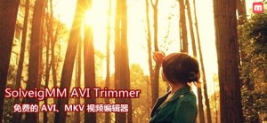 免费的 AVI、MKV 编辑器-SolveigMM AVI Trimmer
